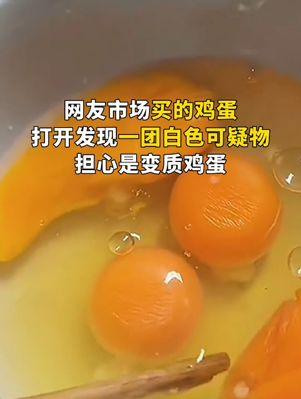 鸡蛋黄边上的白色絮状物能吃吗?