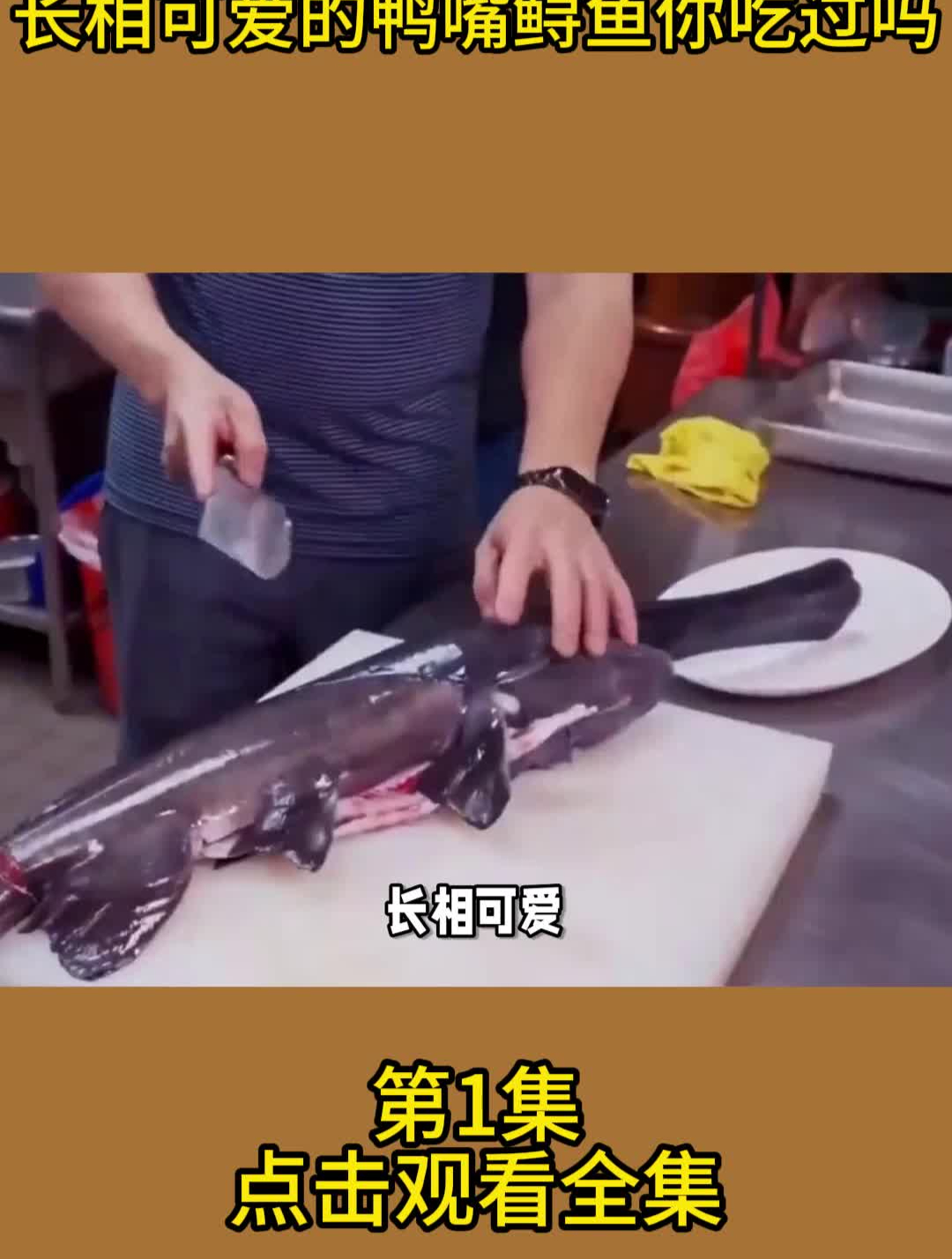 长相可爱的鸭嘴鲟鱼你吃过吗