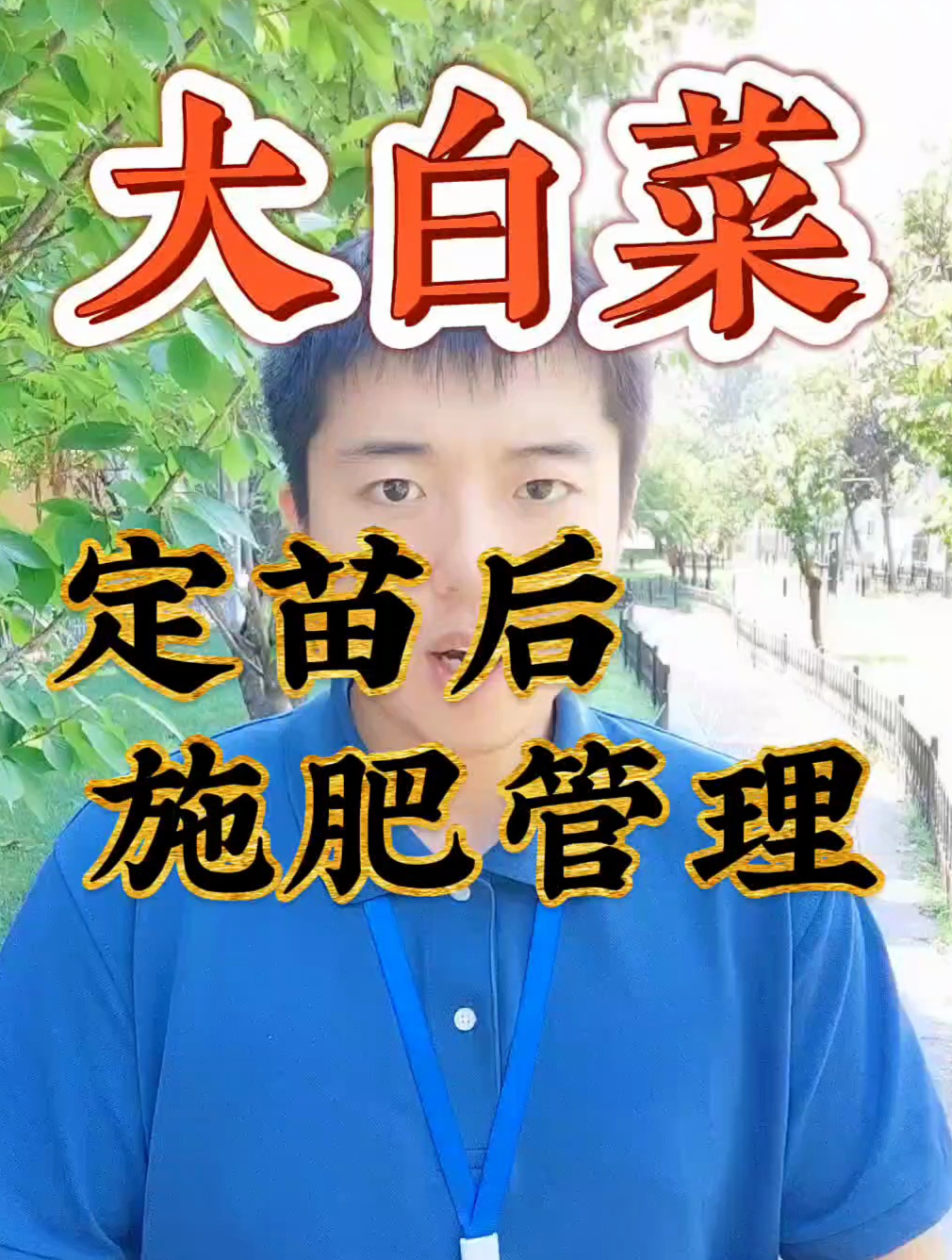白菜增产小妙招,大白菜定苗后施肥管理