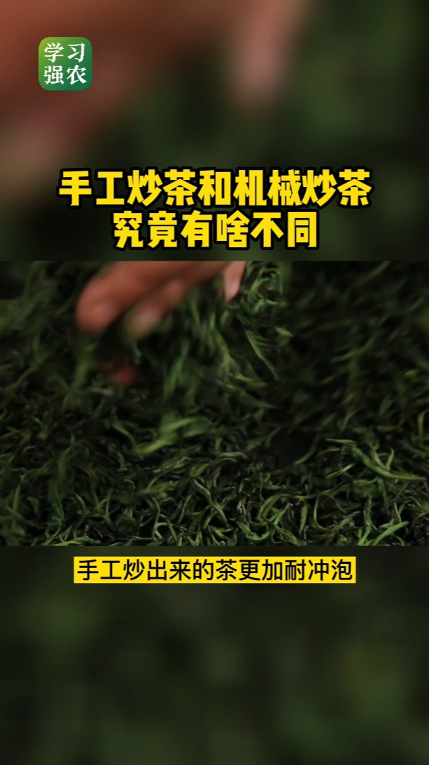 手工炒茶和机械炒茶 究竟有啥不同