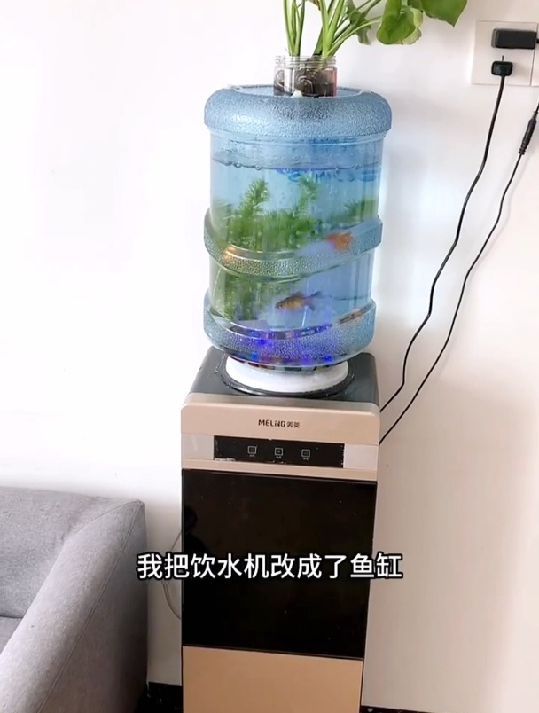 自制饮水机鱼缸