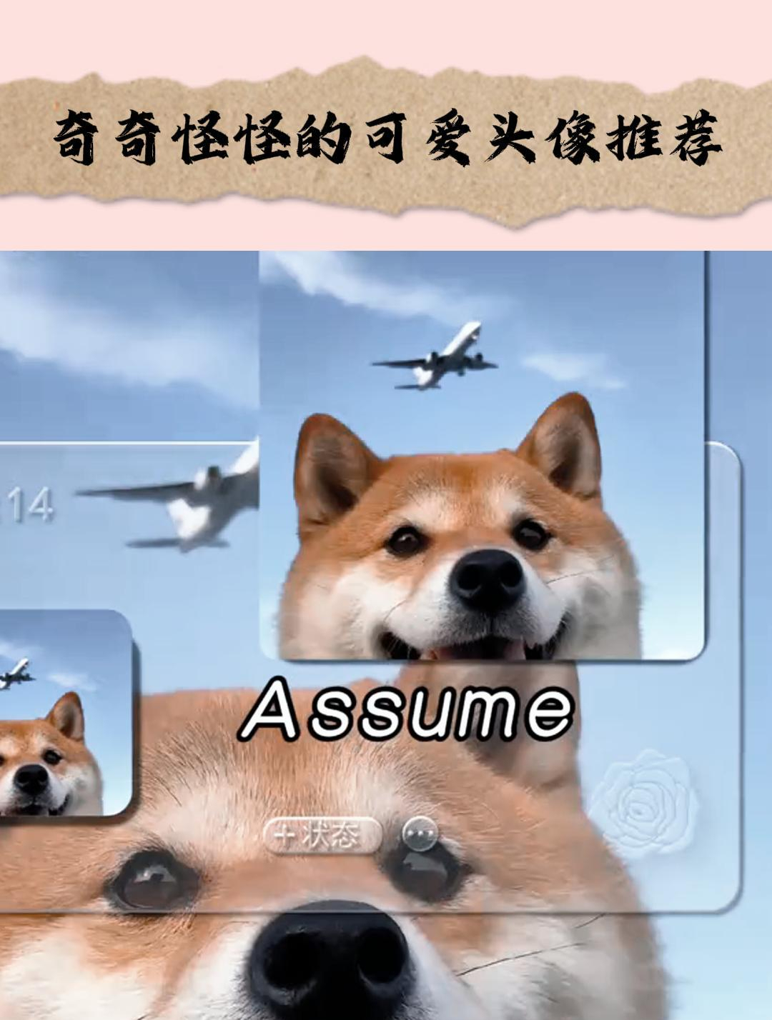 奇奇怪怪的可爱头像推荐,你有过不被人理解的瞬间吗?