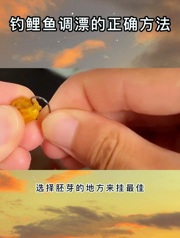 钓鲤鱼应该如何调漂?高手教你正确的方法,让你钓鲤鱼时更有把握