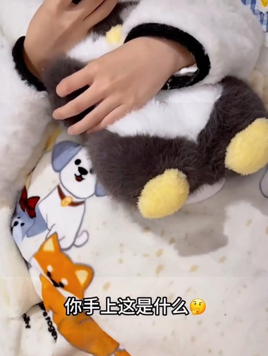 谁能拒绝一双毛茸茸的企鹅拖鞋呢