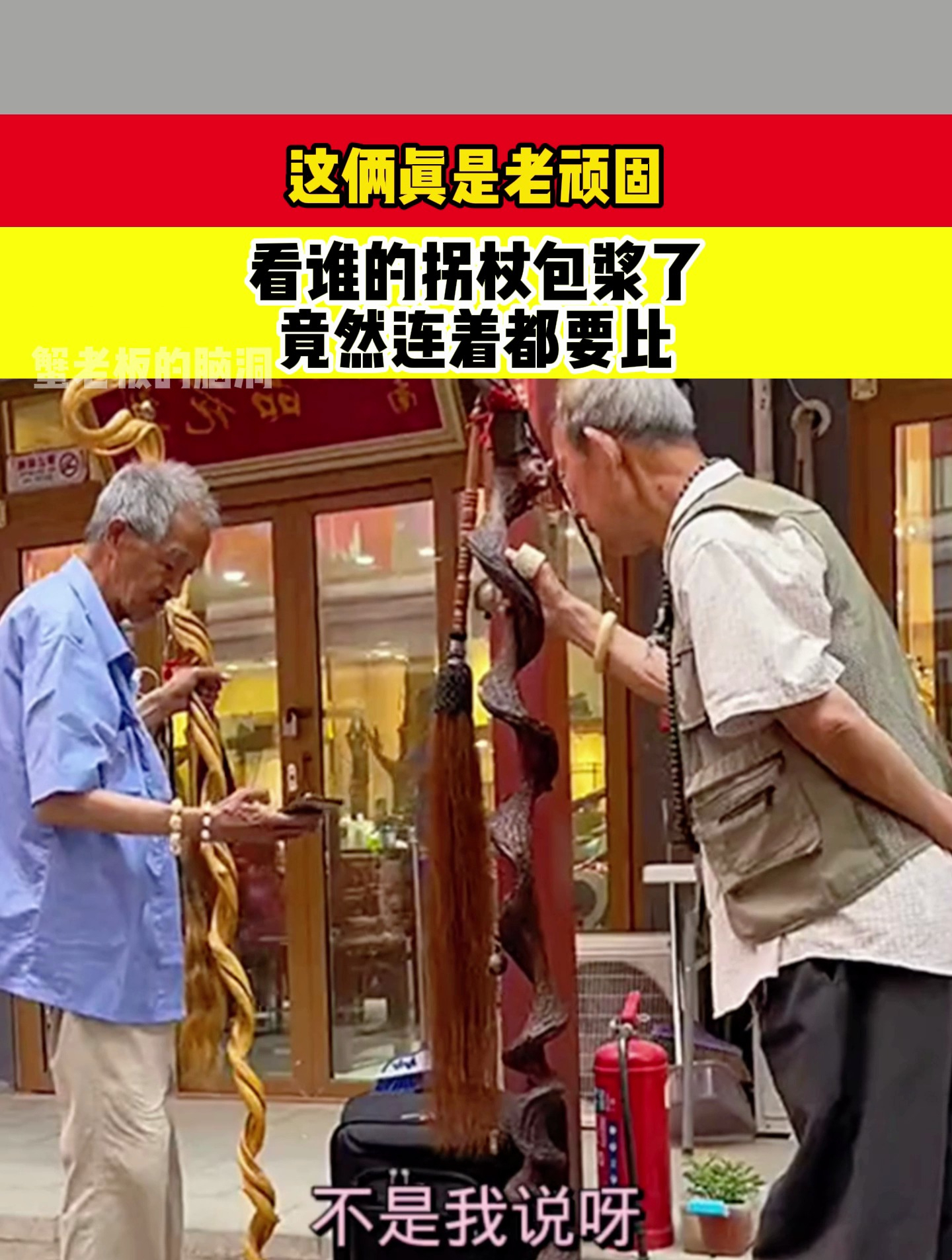 这俩真是老顽固,看谁的拐杖包浆了,从小比到老