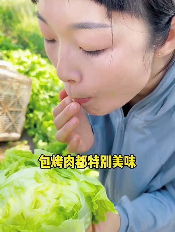 在家种结球生菜,教你1个小妙招,一颗照样能结一大筐!