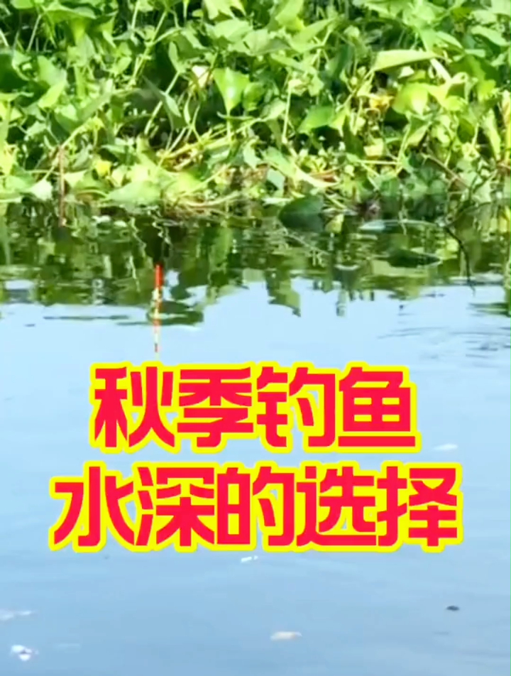 秋季钓鱼水深的选择