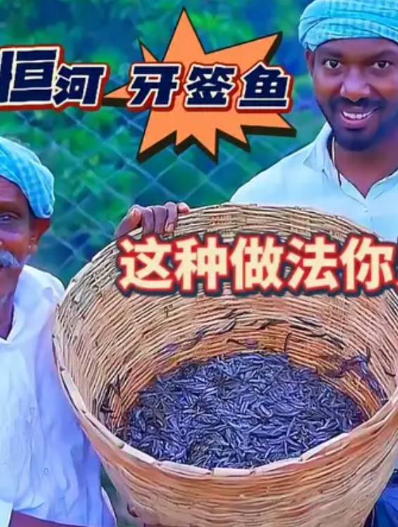 恒河里刚抓的牙签鱼!在印度5兄弟手里,会做成什么样 4