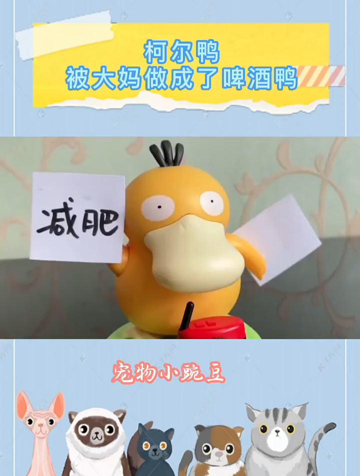 贵族柯尔鸭,被大妈做成了啤酒鸭,等发工资了我也要去买半只养