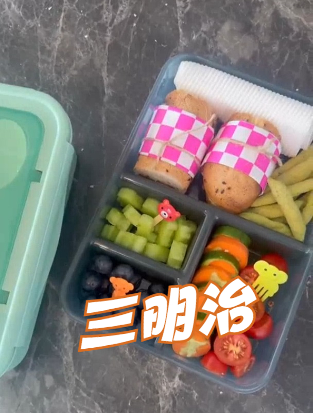 健康营养绿色的三明治