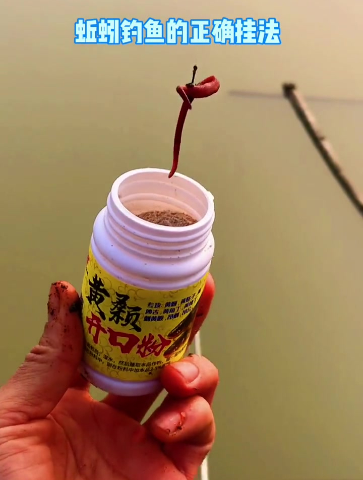 蚯蚓钓鱼的正确挂钩方法,还有不知道的吗?赶紧收藏起来