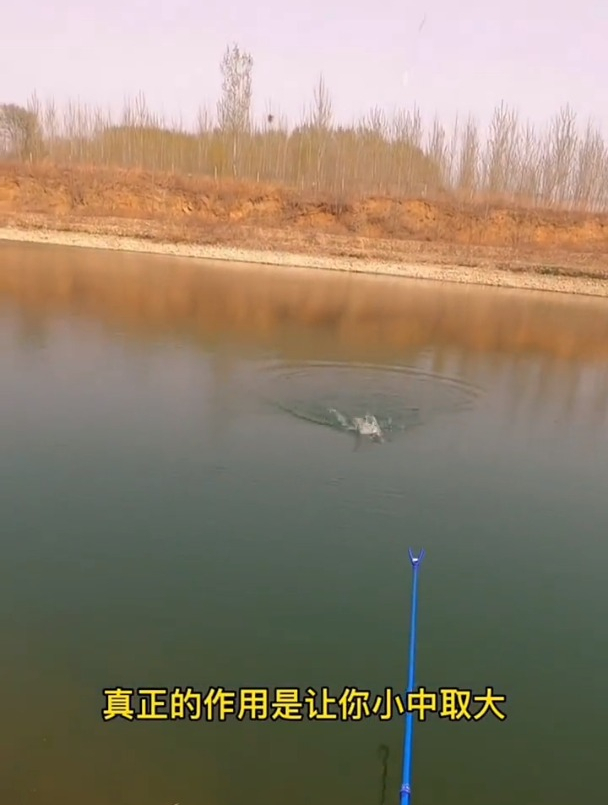 同一钓点,为什么别人钓大鱼你钓到的都是小鱼?差的是这一点!