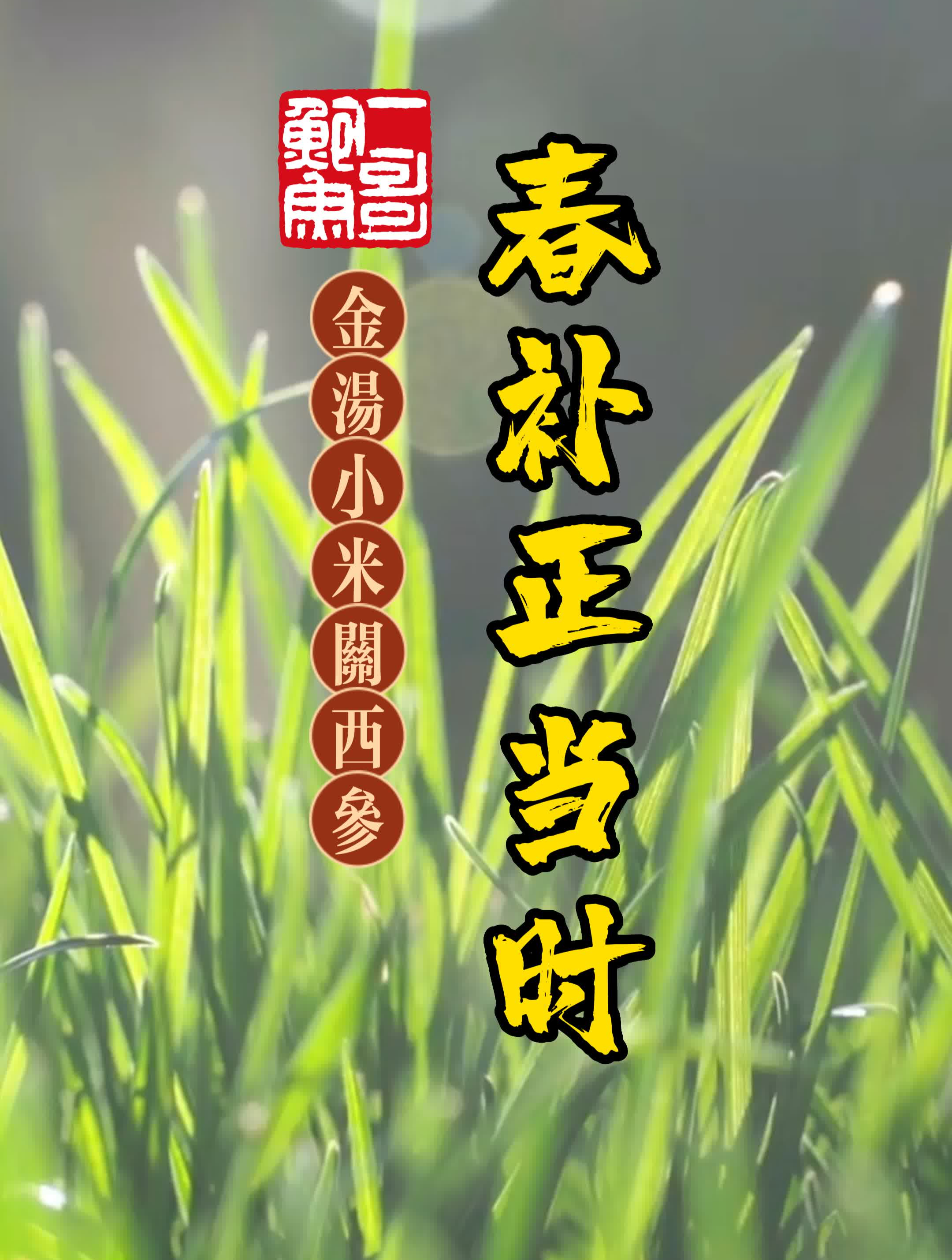 春补正当时,“参”活更精彩!