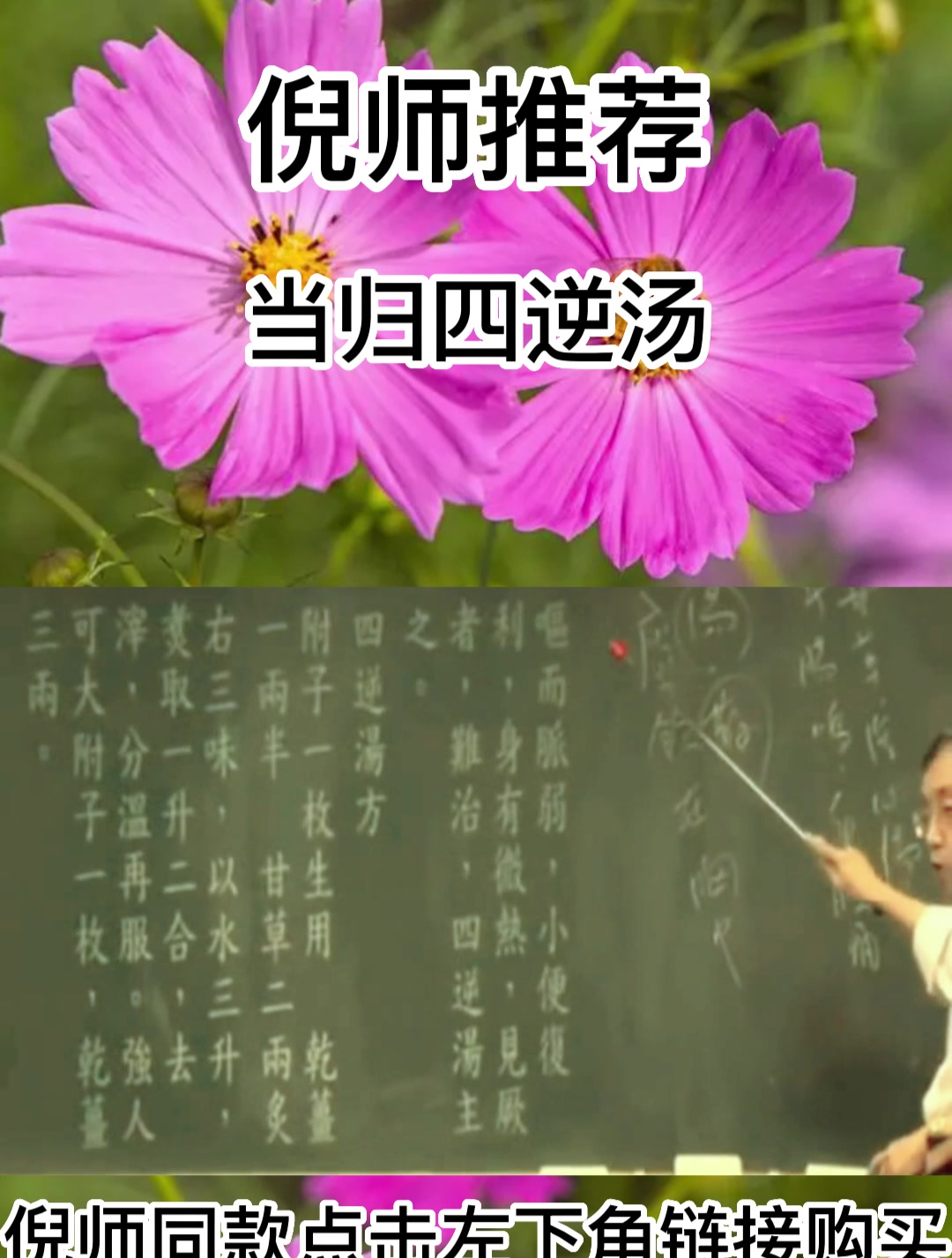 倪海厦:当归四逆汤,有温经散寒、养血通脉的作用