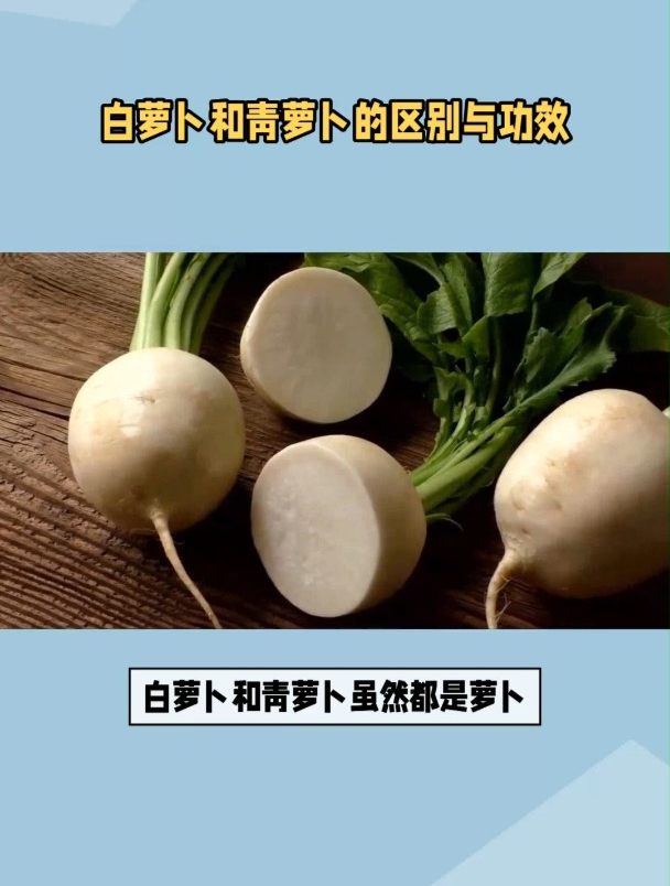 白萝卜和青萝卜的区别与功效