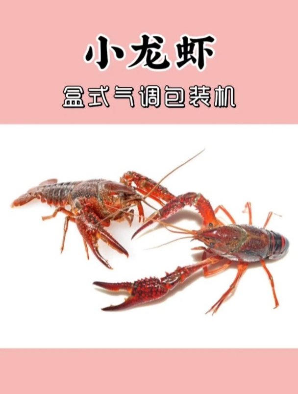 盒式气调包装机包装鲜活小龙虾