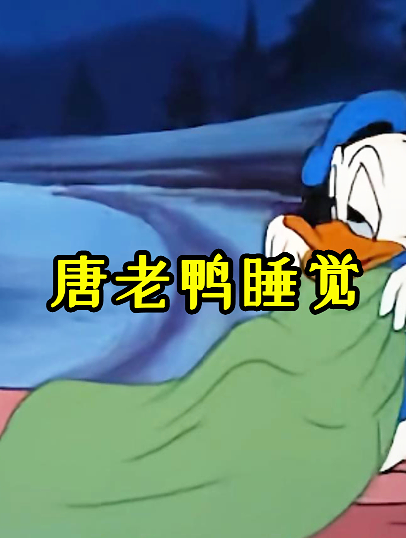 搞笑动画唐老鸭睡觉