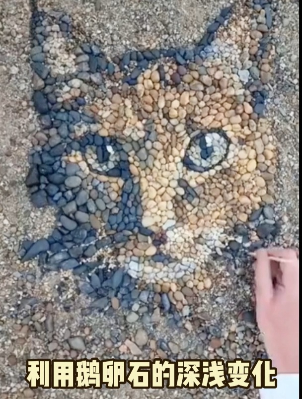 用鹅卵石作画,写实猫咪太惊艳啦