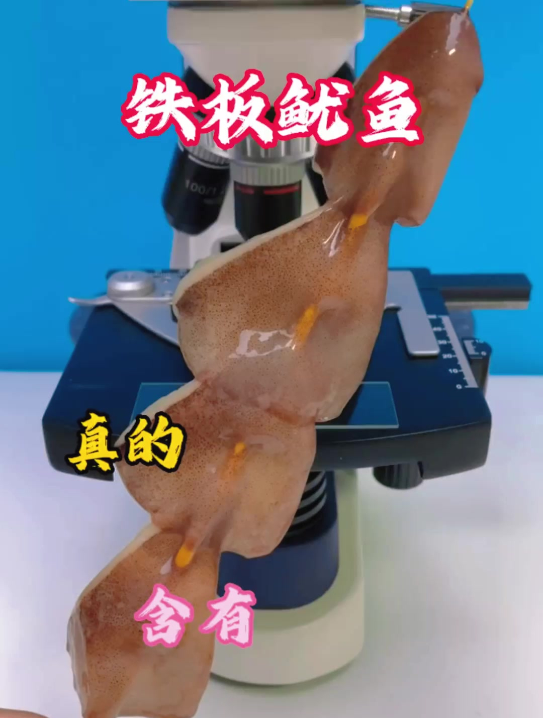铁板鱿鱼真的不能吃吗?