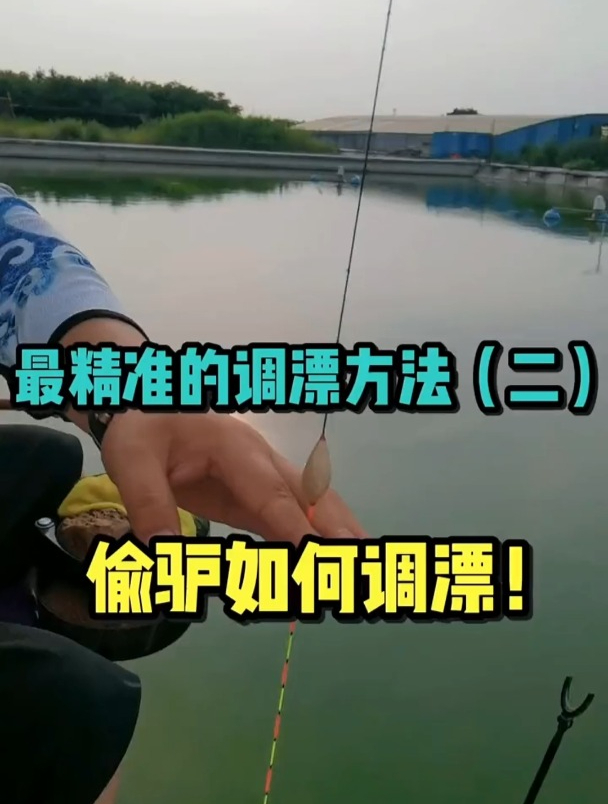 为什么老猾鱼可以钓钝,又可以钓灵?详解黑坑偷驴浮漂调钓技巧!