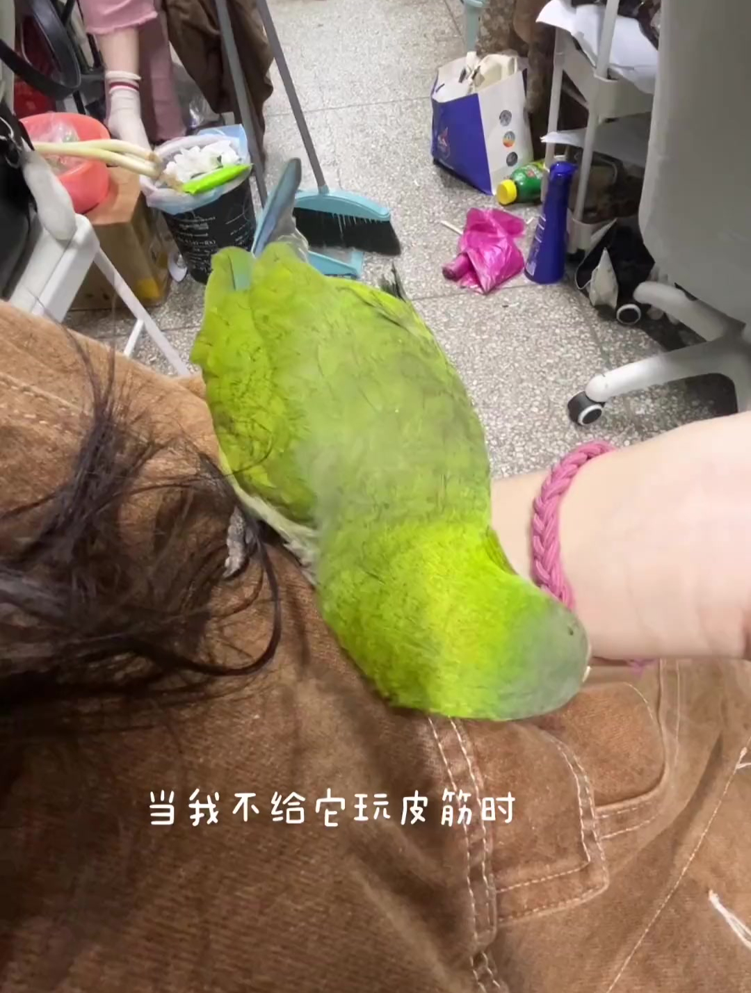 小鸡生气的样子!