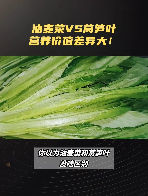 油麦菜VS莴笋叶营养价值差异大!