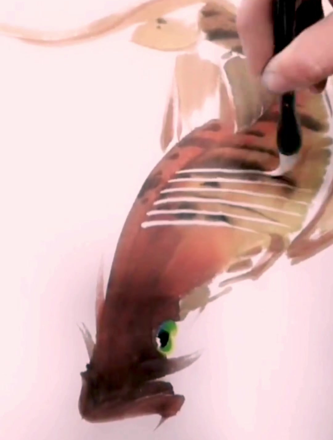 弘扬国画文化,大鱼画法教学