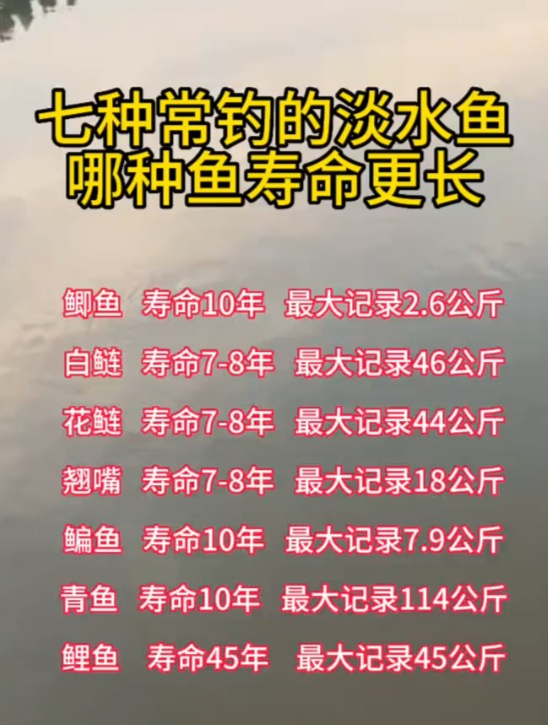 7种常钓的淡水鱼,最长寿命45年,最大能长到114公斤!