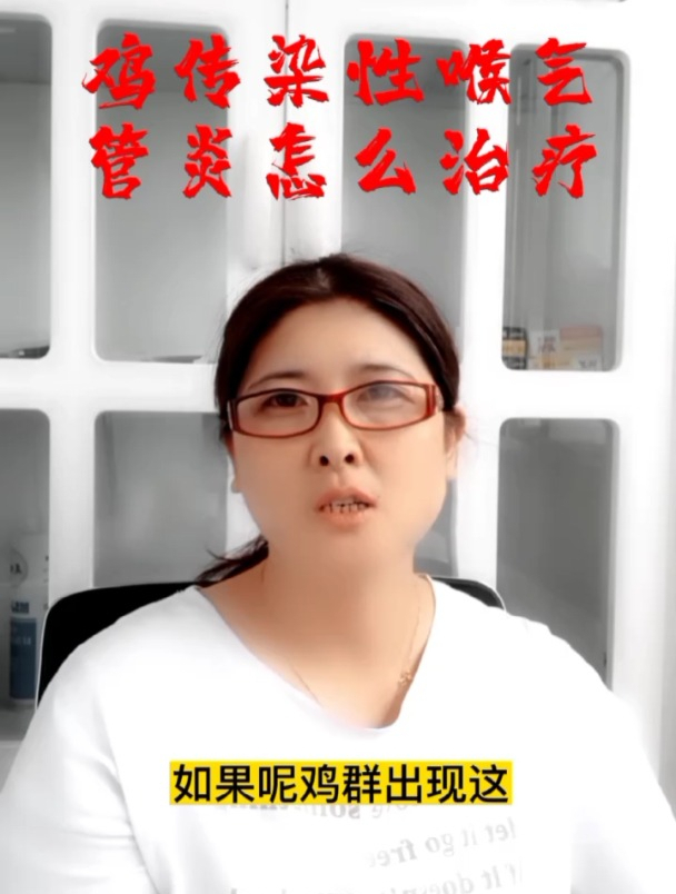 鸡传染性喉头气管炎的发病原因