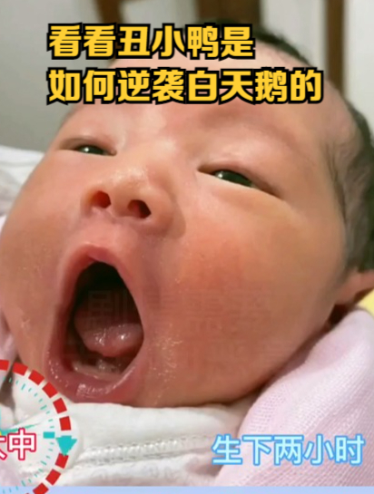 看看 丑小鸭是如何 逆袭 白天鹅的