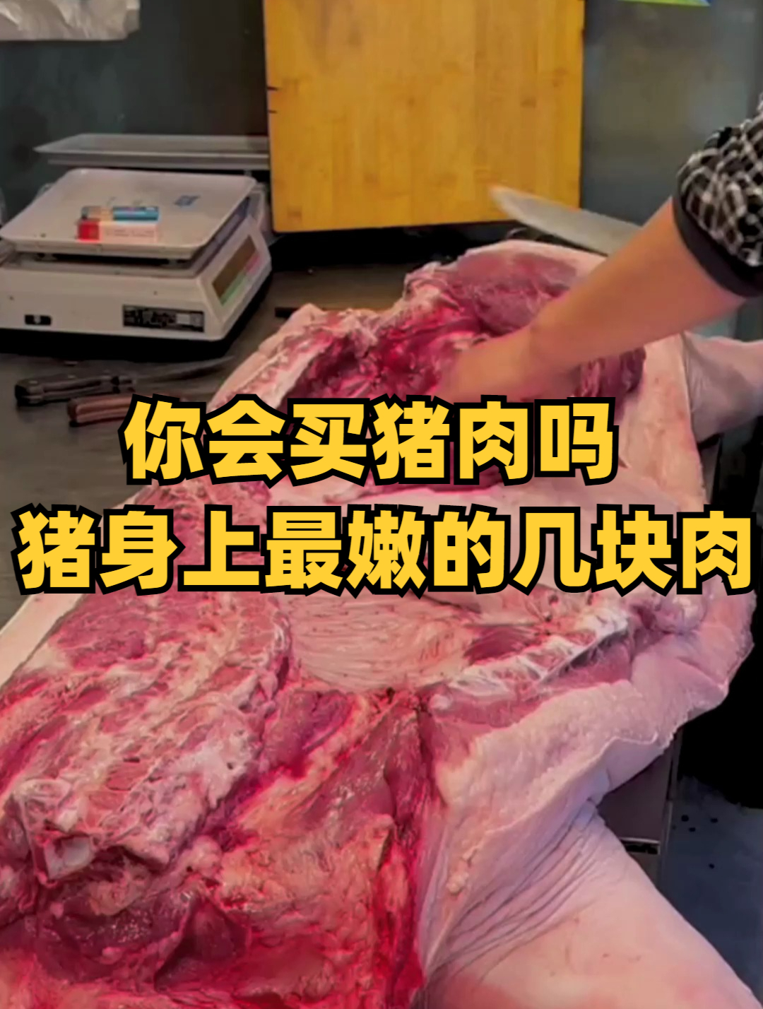 你会买猪肉吗?猪身上最嫩的几块肉