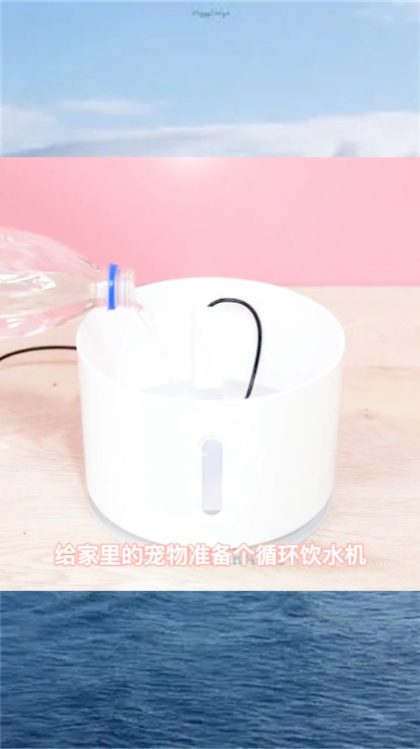 为宠物主人准备的天才窍门和小神器,猫猫狗狗再调皮也能一招搞定