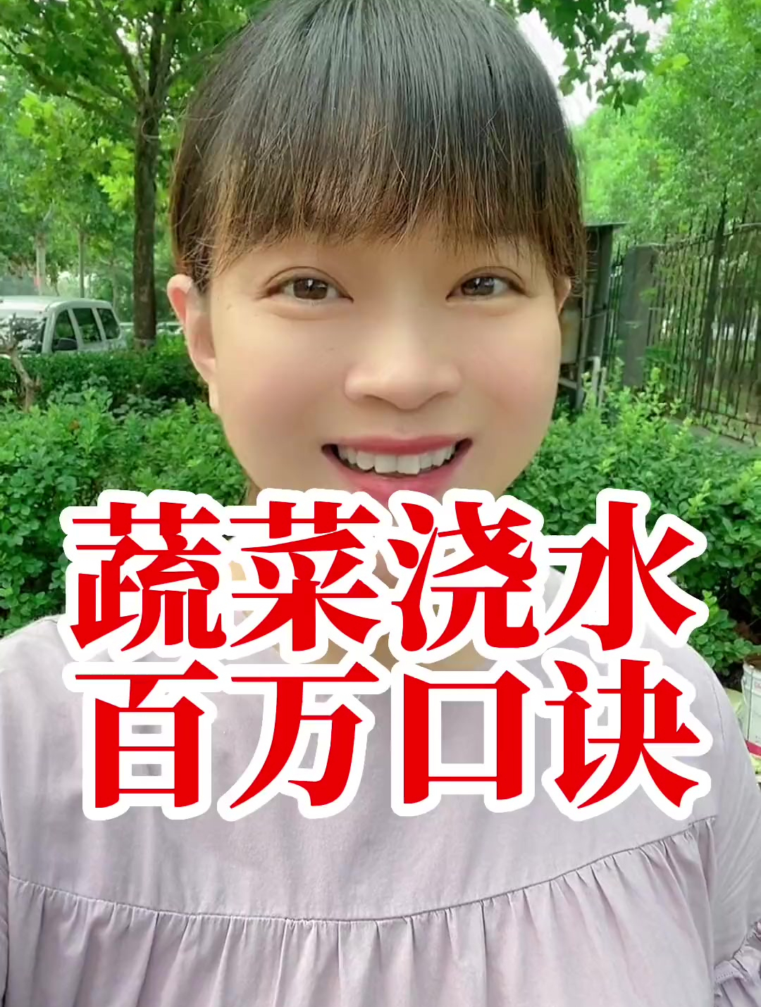 露地蔬菜 农业种植