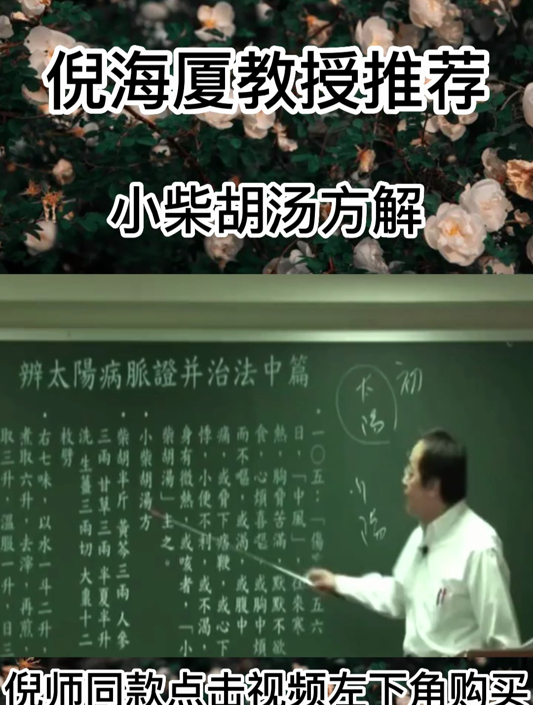 倪海厦讲小柴胡汤的方解!