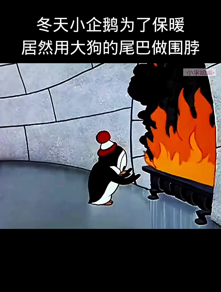 小企鹅为了保暖也是拼了,看看大狗怎么保住尾巴