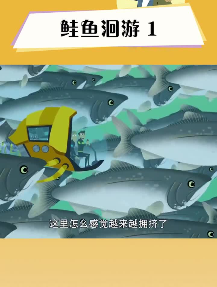 动物兄弟揭秘鲑鱼洄游动漫萌知计划科普知识轻漫计划动画青少年