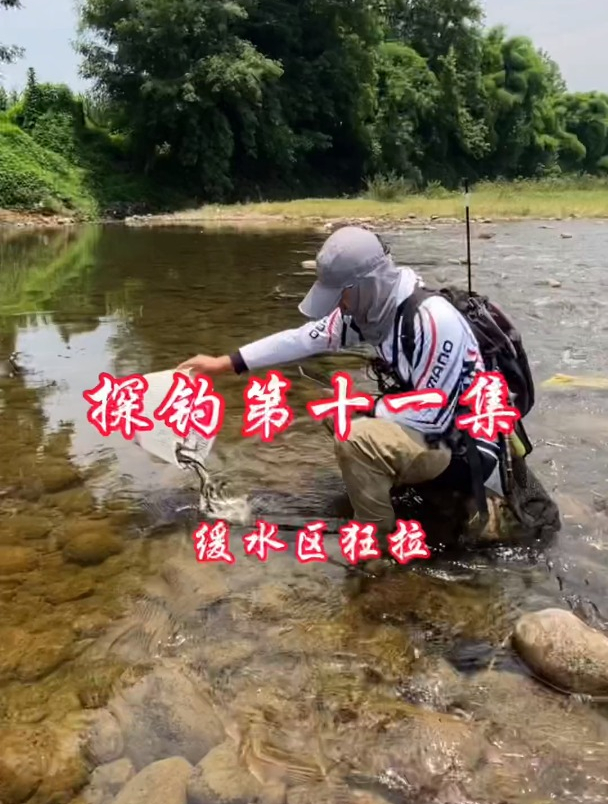 钓鱼,又不仅仅只是钓鱼,更不是为了鱼!