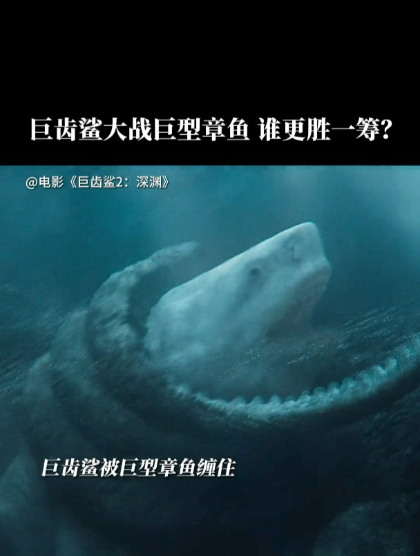 巨齿鲨大战巨型章鱼 谁更胜一筹?