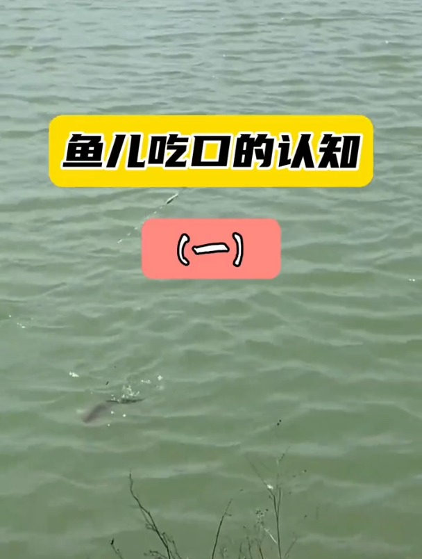 弄明白鱼儿吃口动作,钓组的灵钝怎么调,真的没有那么复杂!