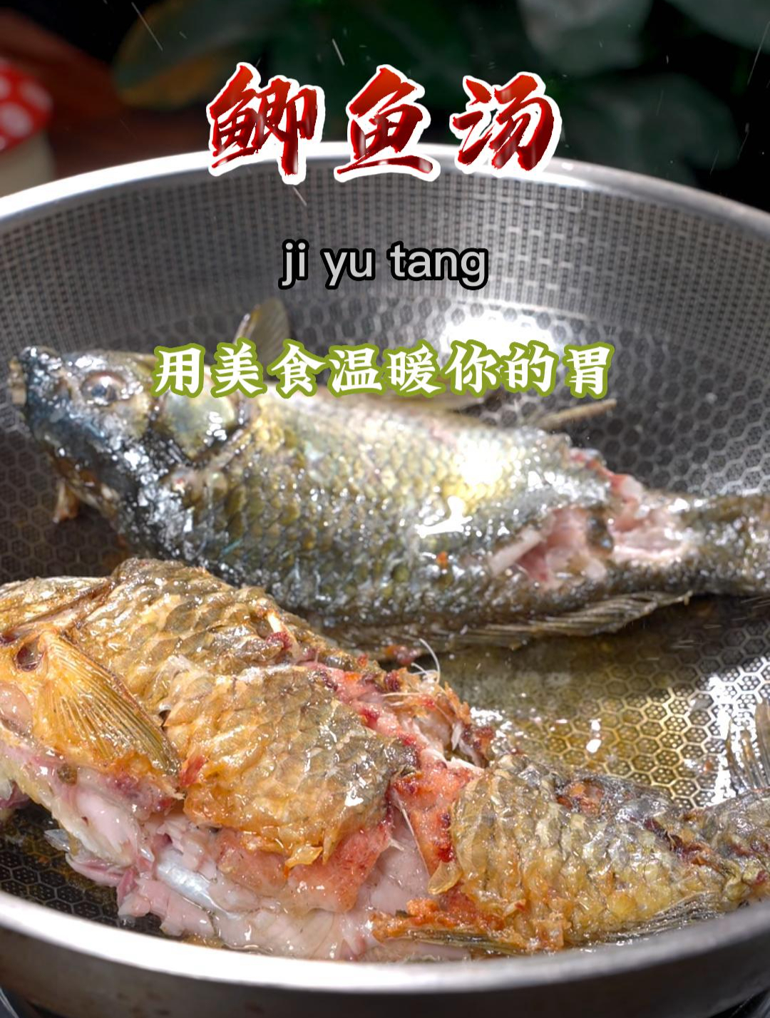 最近很火的鲫鱼汤做法,汤鲜味美,营养好喝,空闲了学着做起来吧