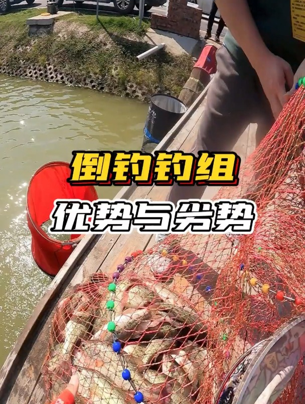 降温后鲈鱼你必须学会的钓组——倒钓,低温季必备上岸钓组