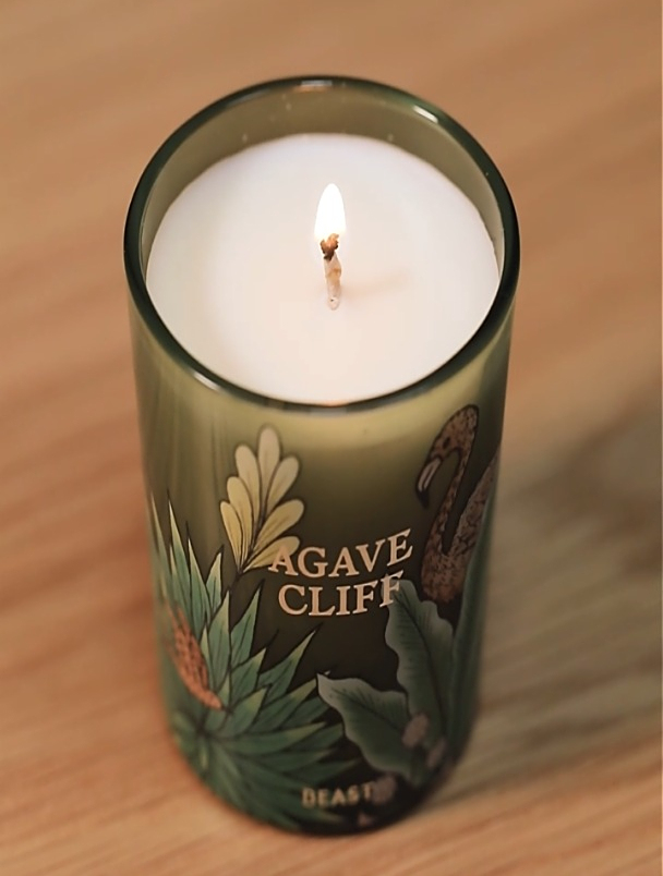 野兽派THE BEASTJungle清新龙舌兰香薰蜡烛礼盒香薰卧室生日礼物