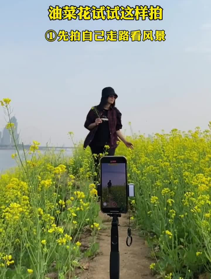 油菜花试试这样拍太美了!手机摄影油菜花拍摄技巧唯美治愈系风景