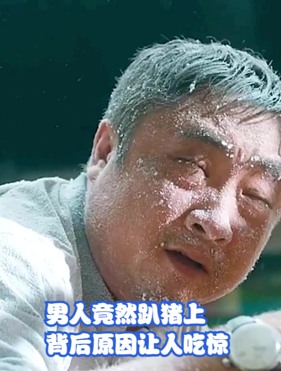 男人竟然趴猪上,背后原因让人吃惊