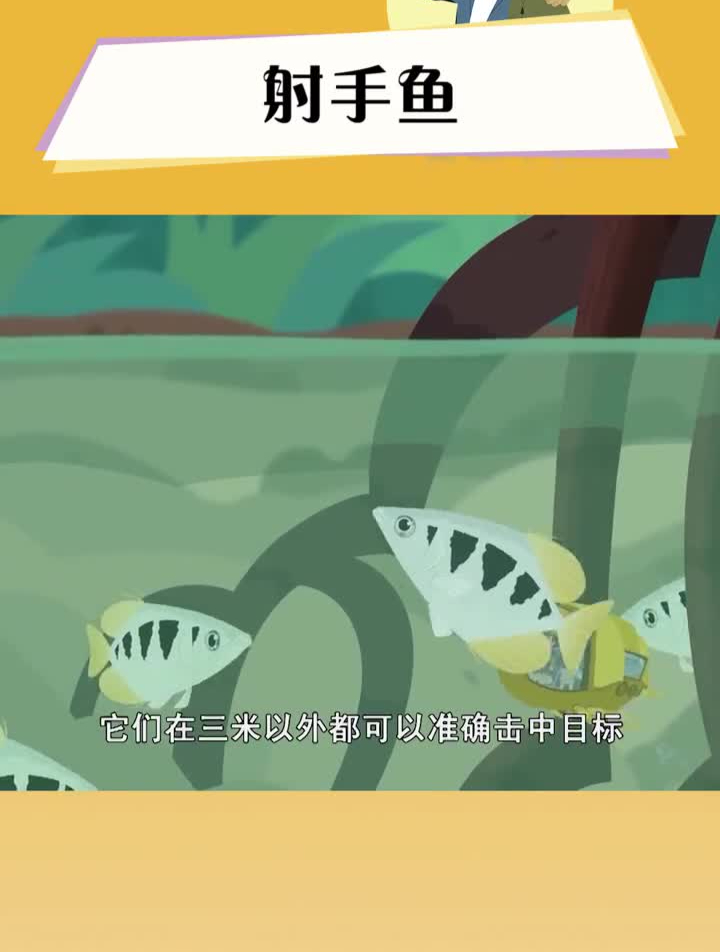 射手鱼,鱼类中的神枪手