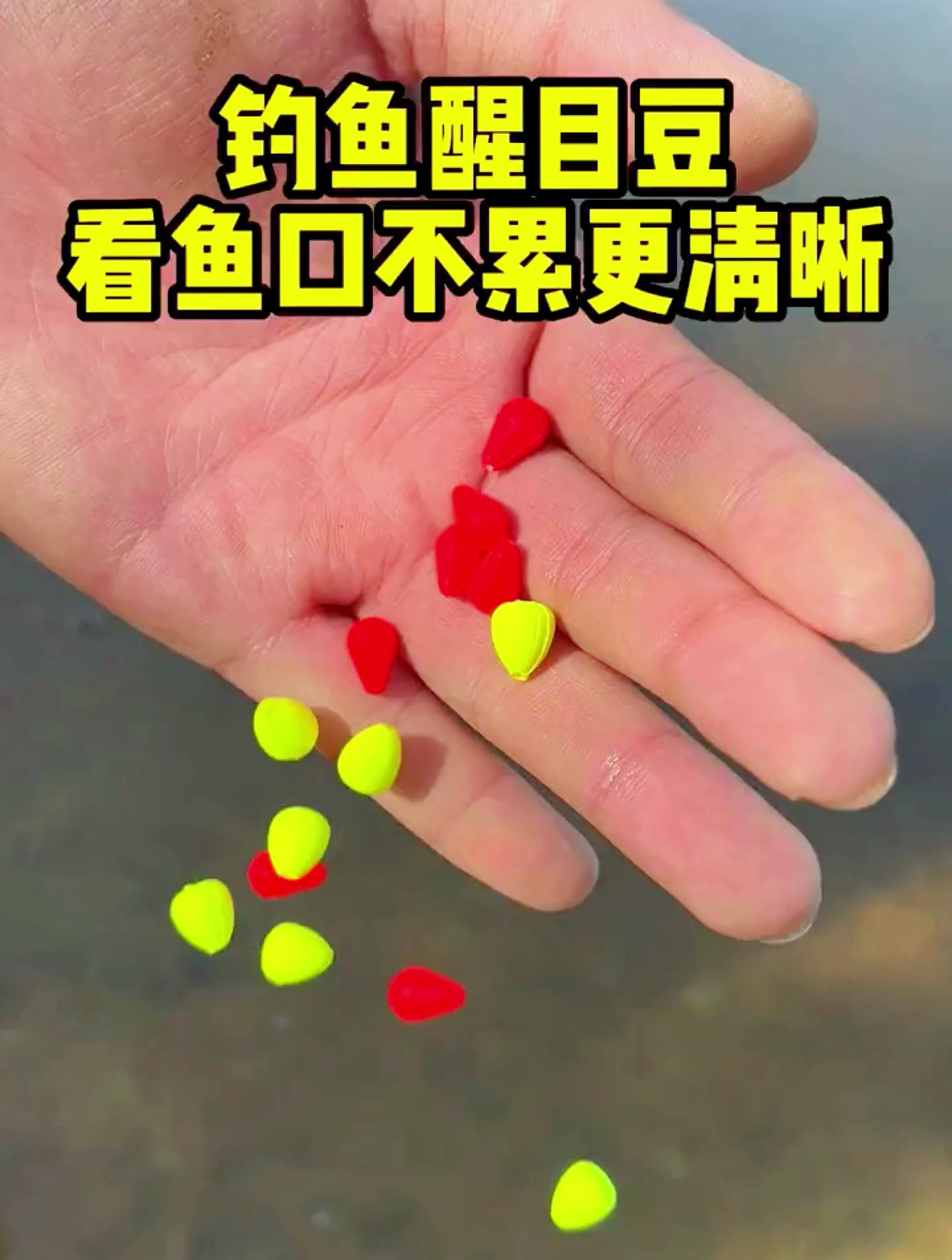 浮漂醒目豆,看鱼口不累更清晰!赶紧带上它去钓鱼吧