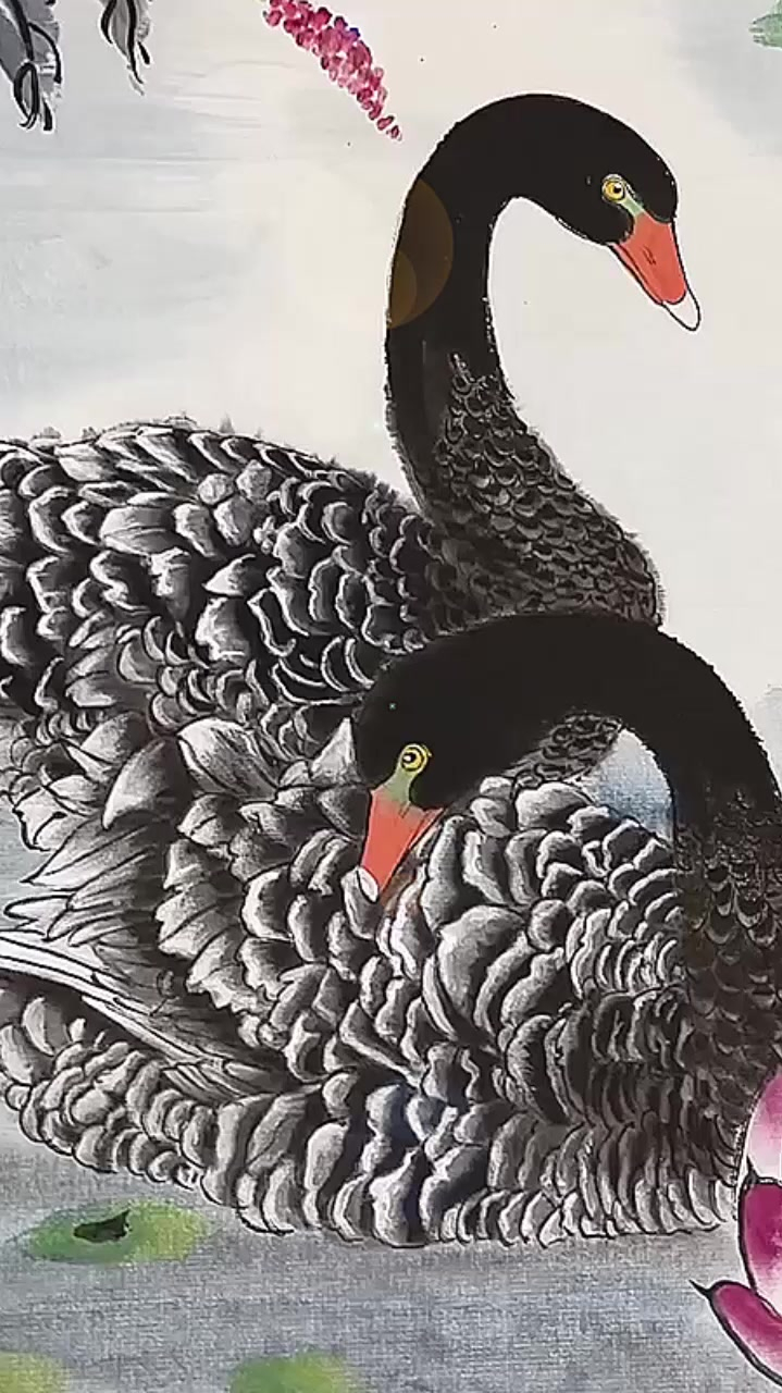 国画黑天鹅,国画教学