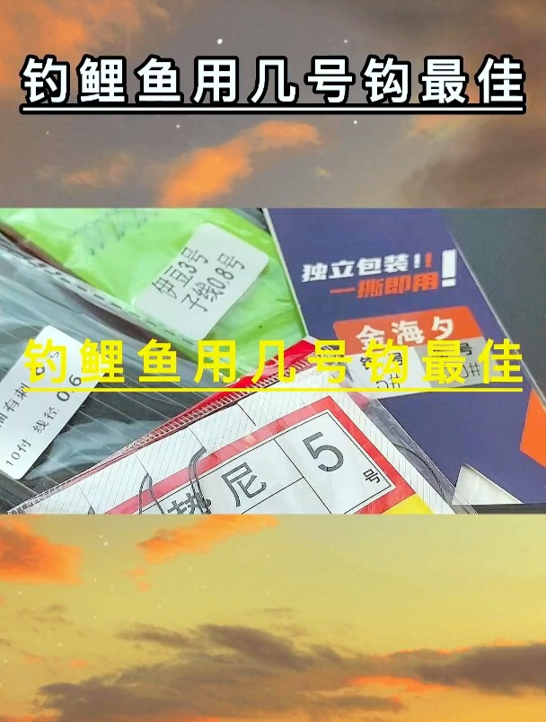 钓鲤鱼用几号钩最佳?来听听钓鱼高手的分析,让你钓鱼前做好准备