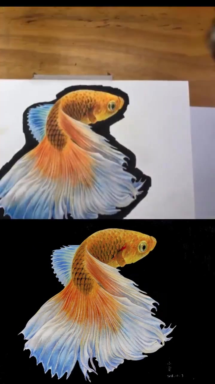 彩铅金鱼,你看会了吗