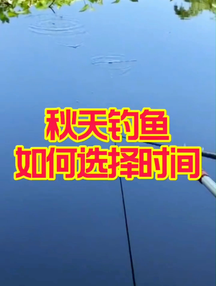 秋季钓鱼如何选择最佳出钓时间?